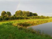 Lekėčių kaime, Šakių rajone, ramioje, - nuotraukos Nr. 4