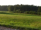 Lekėčių kaime, Šakių rajone, ramioje, - nuotraukos Nr. 8