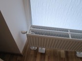 Klaipėdoje, Taikos pr. greta p/c "Big" - nuotraukos Nr. 7