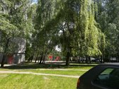 Nuo rugpjūčio pradžios išnuomojamas 3 - nuotraukos Nr. 2