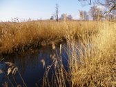 Parduodamos Dvi Sodybos 6 Ha Žemės Sklypuose - nuotraukos Nr. 14