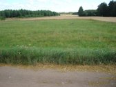 22,2 a sklypas Dainų k., Liepų g., netoli | Skelbiu.lt 22,2 a sklypas Dainų k., Liepų g., netoli