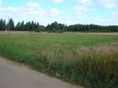 22,2 a sklypas Dainų k., Liepų g., netoli - nuotraukos Nr. 2 | Skelbiu.lt 22,2 a sklypas Dainų k., Liepų g., netoli - nuotraukos Nr. 2