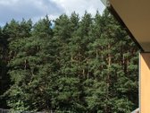 Išnuomojama jaukus 2 kambarių butas. Ramioje - nuotraukos Nr. 14