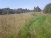 Plungės rajone , Plateliuose parduodamas 70 - nuotraukos Nr. 2 | Skelbiu.lt Plungės rajone , Plateliuose parduodamas 70 - nuotraukos Nr. 2