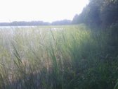 Plungės rajone , Plateliuose parduodamas 70 - nuotraukos Nr. 3 | Skelbiu.lt Plungės rajone , Plateliuose parduodamas 70 - nuotraukos Nr. 3
