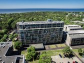 Dviejų apartamentu nuoma, 70m2 - 812 du - nuotraukos Nr. 2