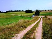 Makio ežero pakrantė, 4,87 hektaro žemės ūkio - nuotraukos Nr. 6