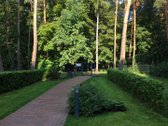 Išnuomojamas 2 kambarių butas pušų terasose. - nuotraukos Nr. 11