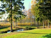 Parduodamas nuostabus vienkiemis Zarasų - nuotraukos Nr. 3 | Skelbiu.lt Parduodamas nuostabus vienkiemis Zarasų - nuotraukos Nr. 3