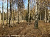 Išskirtinis Sklypas Gamtos Apsuptyje – 5 Km - nuotraukos Nr. 10