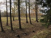 Išskirtinis Sklypas Gamtos Apsuptyje – 5 Km - nuotraukos Nr. 11