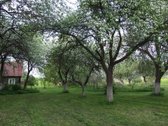 Nuostabi sodybvietė Anykščių rajone: 5 ha - nuotraukos Nr. 3 | Skelbiu.lt Nuostabi sodybvietė Anykščių rajone: 5 ha - nuotraukos Nr. 3