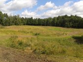 Parduodami 5 namų valdos sklypai po 15arų. - nuotraukos Nr. 22