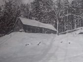 Istoriniame Liškiavos kaime (8 km nuo - nuotraukos Nr. 4