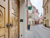 Klasikinio stiliaus apartamentai su terasa - nuotraukos Nr. 22