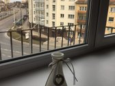 Prestižiniame Kauno rajone - Žaliakalnyje - nuotraukos Nr. 6