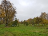 Parduodamas kitos paskirties (vienbučių ir - nuotraukos Nr. 8