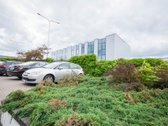 Nuomojame pilnai įrengtą, šviesų, - nuotraukos Nr. 11