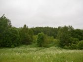 Švenčionių rajone ant Žąsinų ežero kranto - nuotraukos Nr. 2