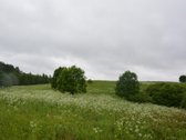 Švenčionių rajone ant Žąsinų ežero kranto - nuotraukos Nr. 9