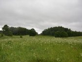 Švenčionių rajone ant Žąsinų ežero kranto - nuotraukos Nr. 10