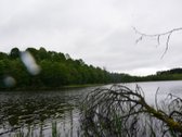 Švenčionių rajone ant Žąsinų ežero kranto - nuotraukos Nr. 12