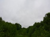 Švenčionių rajone ant Žąsinų ežero kranto - nuotraukos Nr. 13
