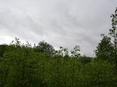 Švenčionių rajone ant Žąsinų ežero kranto - nuotraukos Nr. 14