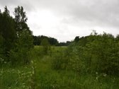 Švenčionių rajone ant Žąsinų ežero kranto - nuotraukos Nr. 15