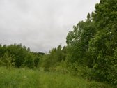 Švenčionių rajone ant Žąsinų ežero kranto - nuotraukos Nr. 16