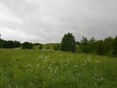 Švenčionių rajone ant Žąsinų ežero kranto - nuotraukos Nr. 17
