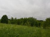 Švenčionių rajone ant Žąsinų ežero kranto - nuotraukos Nr. 18