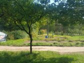 Parduodamas Žemės Sklypas Balsiuose - nuotraukos Nr. 4