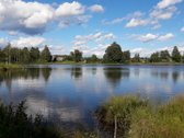 Parduodama žemės ūkio paskirties sklypo dalis - nuotraukos Nr. 9