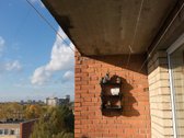 Nuomojamas kambarys erdviame trijų kambarių - nuotraukos Nr. 11