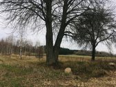Parduodama be tarpininkų! - nuotraukos Nr. 5