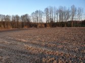 Lazdijų rajone, Mikyčių kaime parduodamas - nuotraukos Nr. 4