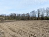 Lazdijų rajone, Mikyčių kaime parduodamas - nuotraukos Nr. 6