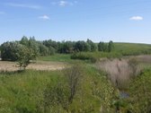 Laba ,parduodamas sklypas tarp Pikeliskiu ir - nuotraukos Nr. 8