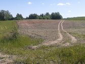 Laba ,parduodamas sklypas tarp Pikeliskiu ir - nuotraukos Nr. 10