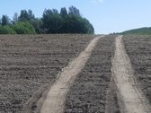 Laba ,parduodamas sklypas tarp Pikeliskiu ir - nuotraukos Nr. 12