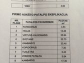 Parduodamas neįrengtas 418 m2 namas Jonavos r - nuotraukos Nr. 12
