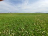Alytaus priemiestyje - Jurgiškių k., - nuotraukos Nr. 7