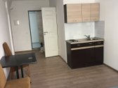 Nuomojamas ekonomiškas, šviesus, naujai
