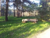 Parduodami du sklypai be tarpininkų vienas - nuotraukos Nr. 12