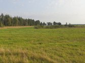 Parduodamas 18 arų, gyvenamosios paskirties - nuotraukos Nr. 7