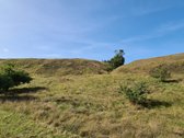 Parduodamas 2,10 ha žemės ūkio paskirties - nuotraukos Nr. 4