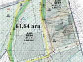 Parduodamas 61,64 arų plotos sklypas ypač - nuotraukos Nr. 8