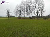 Parduodamas Namas Su Erdviu Sklypu Ir Sodu - nuotraukos Nr. 16
